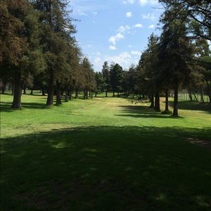 Meet your Posher, Shaun